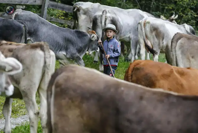 Неделя в фотографиях