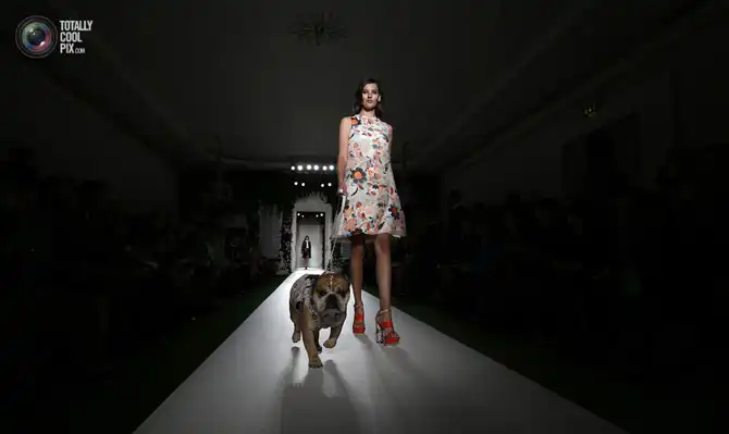 Неделя в фотографиях