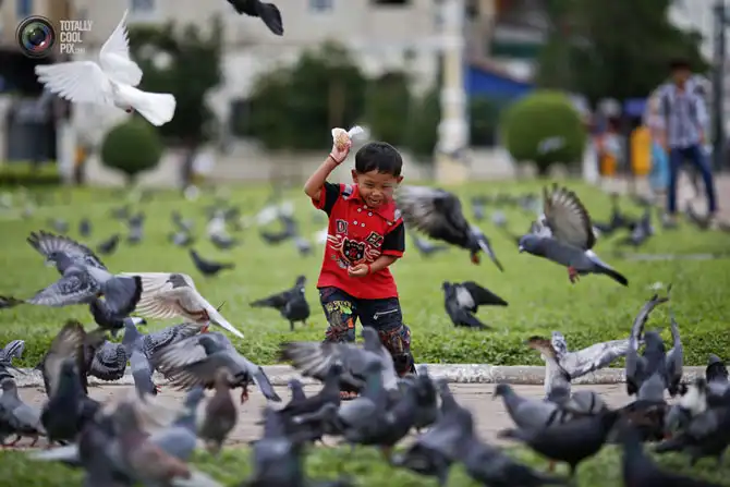 Неделя в фотографиях