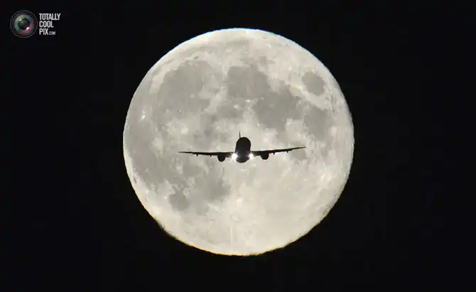 Неделя в фотографиях