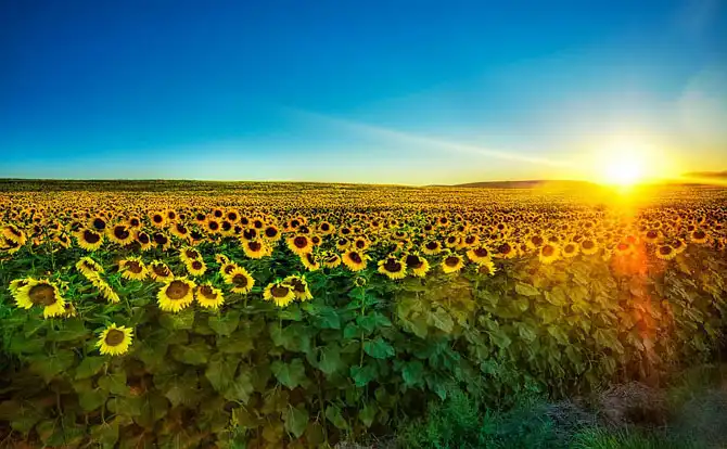 HDR — фантастика