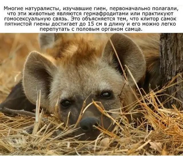 Интересно обо всем на свете