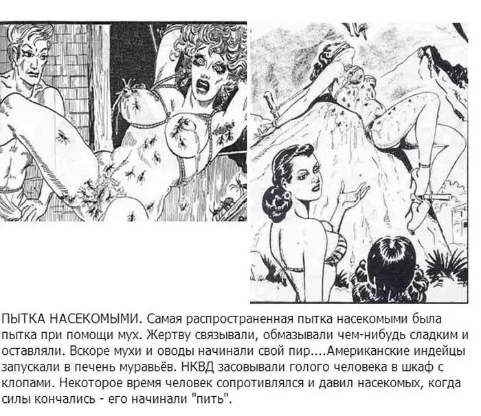 Пытки и жестокие наказания из прошлого