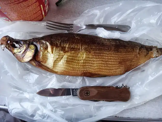 Россия глазами швейцарца (часть 2)