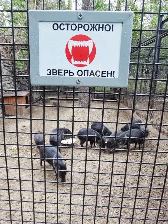 Россия глазами швейцарца (часть 2)