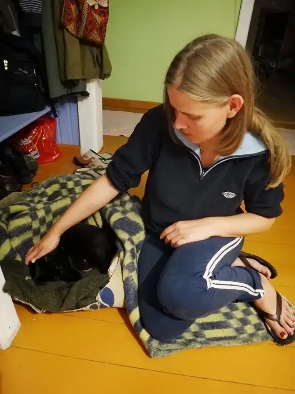 Россия глазами швейцарца (часть 3)