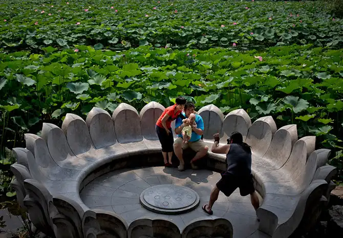 Сцены повседневной жизни августа 2013