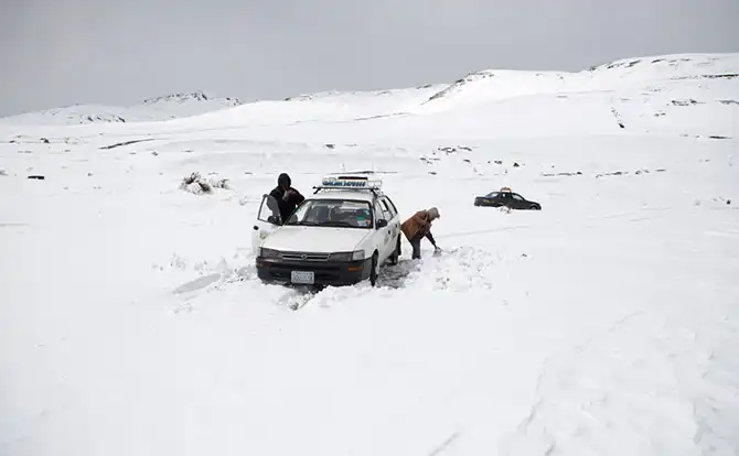 Сцены повседневной жизни августа 2013
