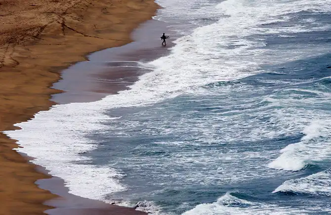 Сцены повседневной жизни августа 2013