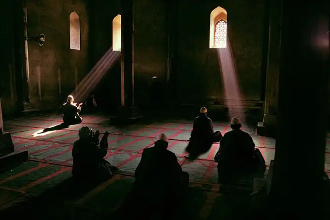 Нерассказанные истории Стива Мак-Карри