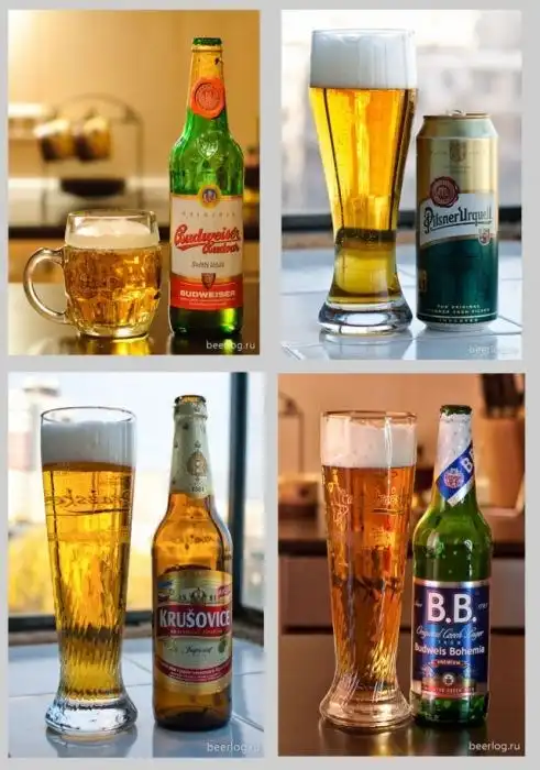 Типы и разновидности пива на любой вкус