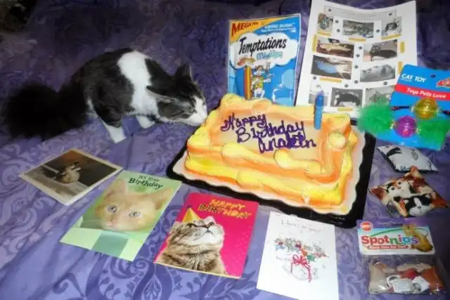 Разнообразная подборка =) Улыбок!