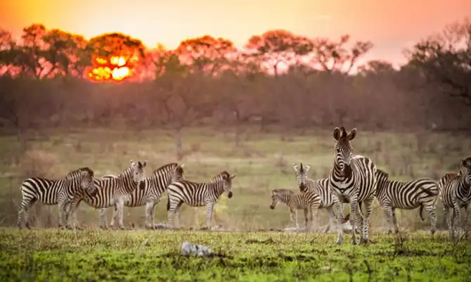 Лучшие сафари отели во всей Африке