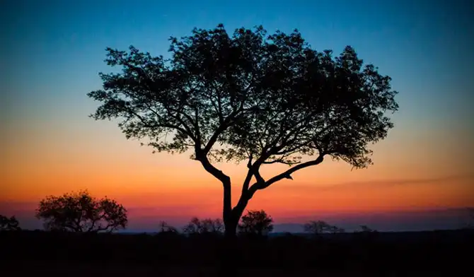 Лучшие сафари отели во всей Африке