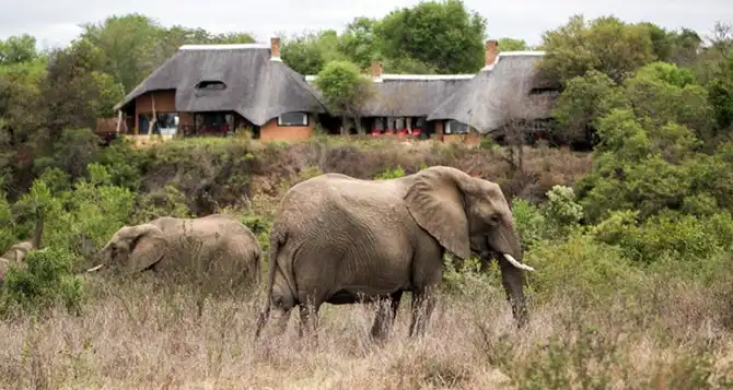 Лучшие сафари отели во всей Африке