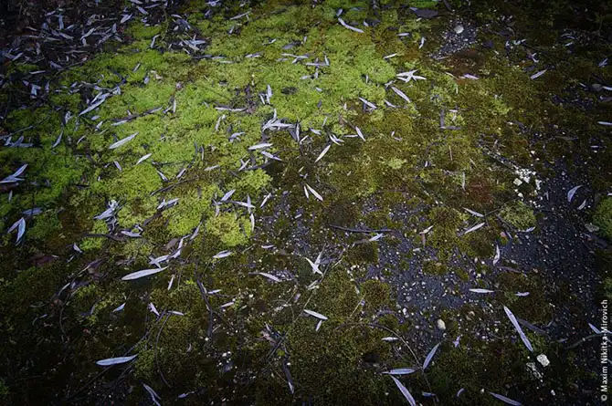 Прогулка в заброшенный санаторий