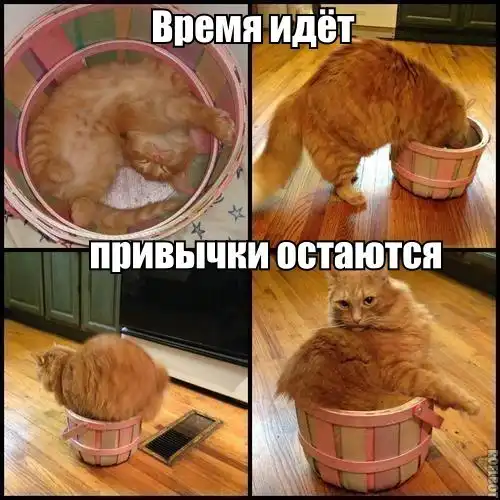 Разнообразная подборка =) Для хорошего настроения!