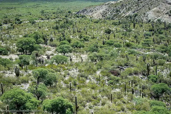 Дакар 2014. Перевал на высоте 3 км