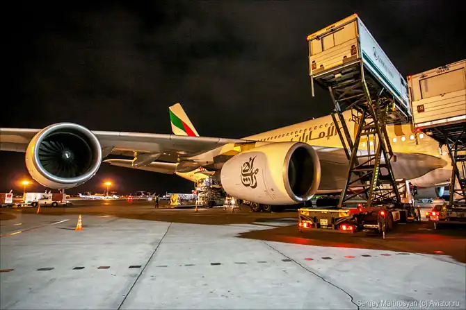 Как обслуживают самый большой пассажирский самолет в Домодедово