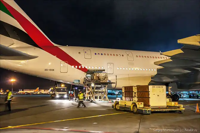 Как обслуживают самый большой пассажирский самолет в Домодедово