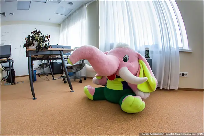 Прогулка по симферопольскому офису компании Яндекс