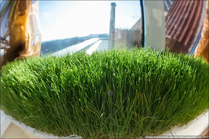 Прогулка по симферопольскому офису компании Яндекс