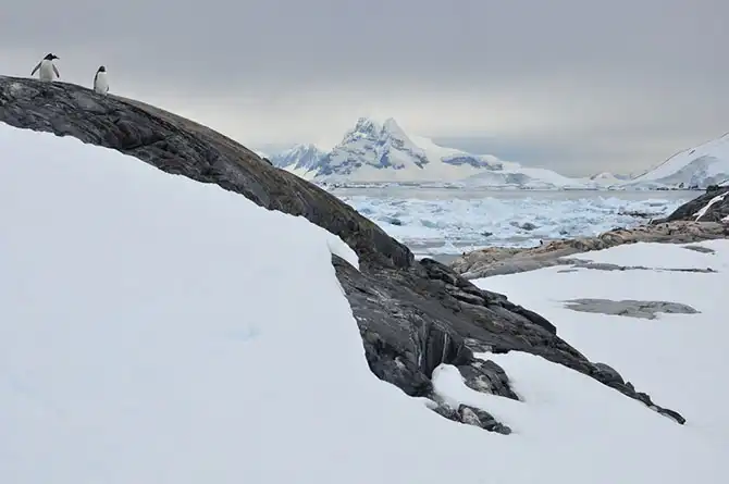 Путешествие в Антарктиду