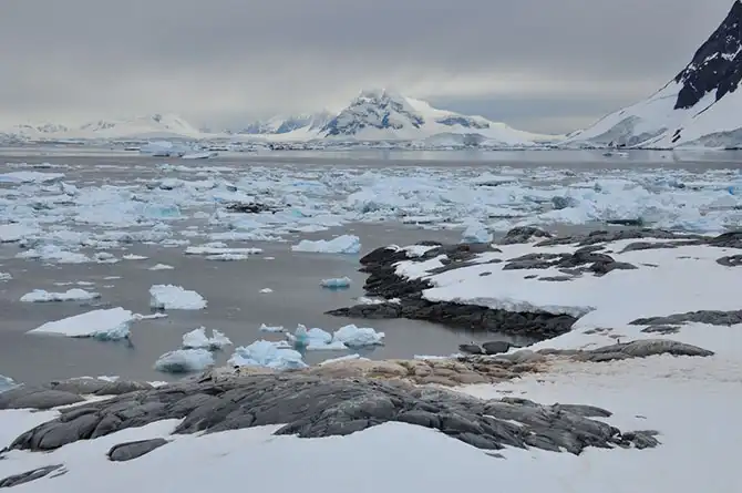 Путешествие в Антарктиду