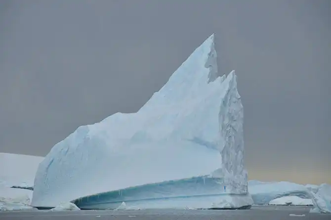 Путешествие в Антарктиду