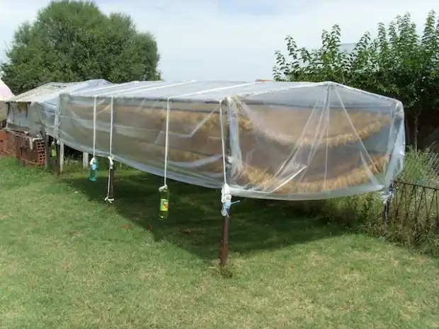 108 фактов о Македонии глазами украинки