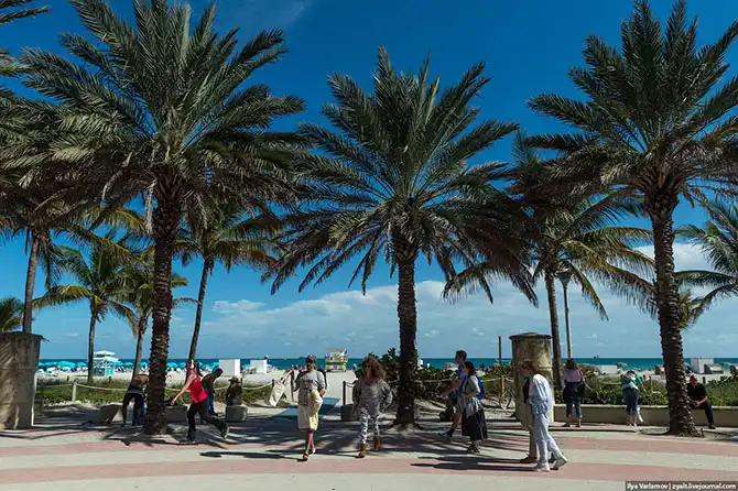 Прогулка по Майами
