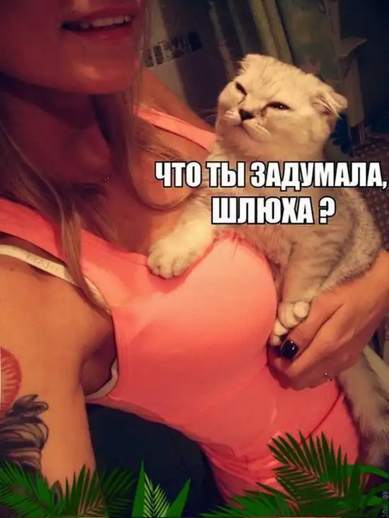 Прикольные картинки абавсём:D (03.01.14)