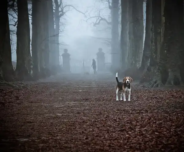 Соляночка =З