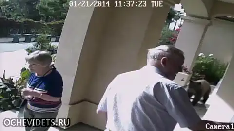 Мастерство камуфляжа.