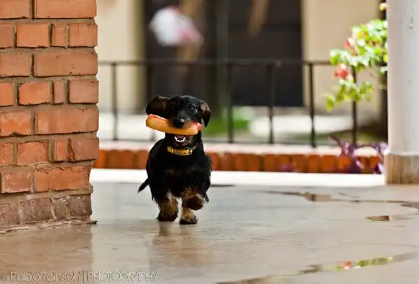 Соляночка =З