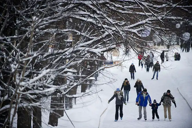 Эволюция коньков: от Киммерийцев до наших дней