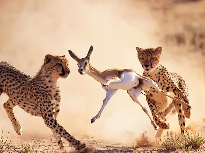 Лучшие фотографии National Geographic января 2014 года