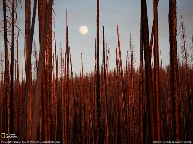 Лучшие фотографии National Geographic января 2014 года