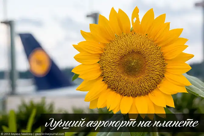 Самый лучший аэропорт на планете