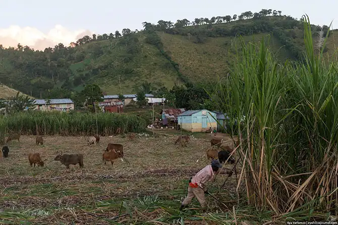 Путешествие в Доминиканскую республику