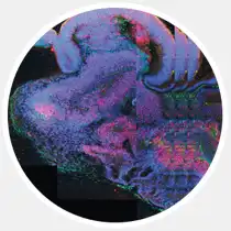 17 главных научных открытий 2013-го года