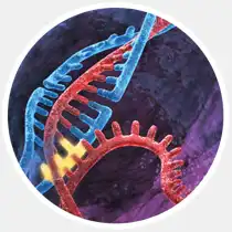 17 главных научных открытий 2013-го года