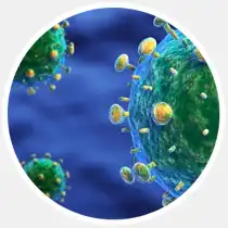 17 главных научных открытий 2013-го года