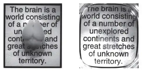 17 главных научных открытий 2013-го года