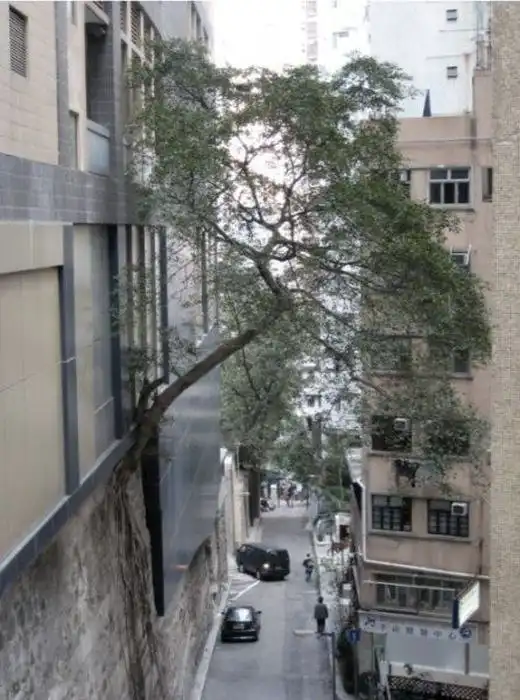 Разнообразная подборка =) Хороших выходных!