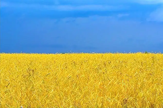 Удивительные фотографии со всего света