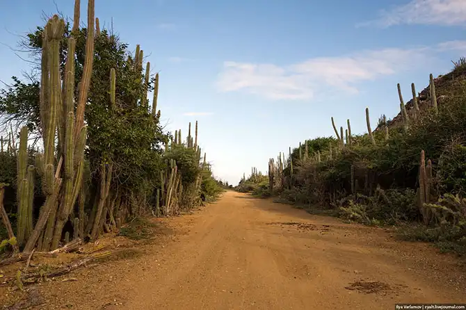 Путешествие на острова ABC - Аруба, Банейро и Кюрасао