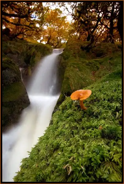 Соляночка =З