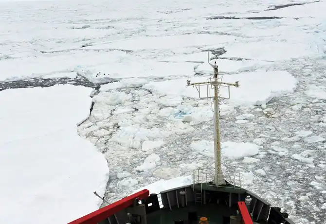 «Академик Шокальский» и спасательная операция в Антарктиде