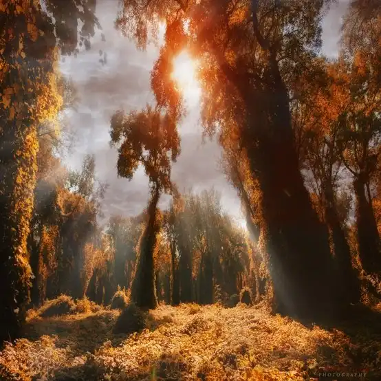 Соляночка =З